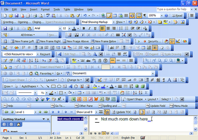 Microsoft Word with all menus shown