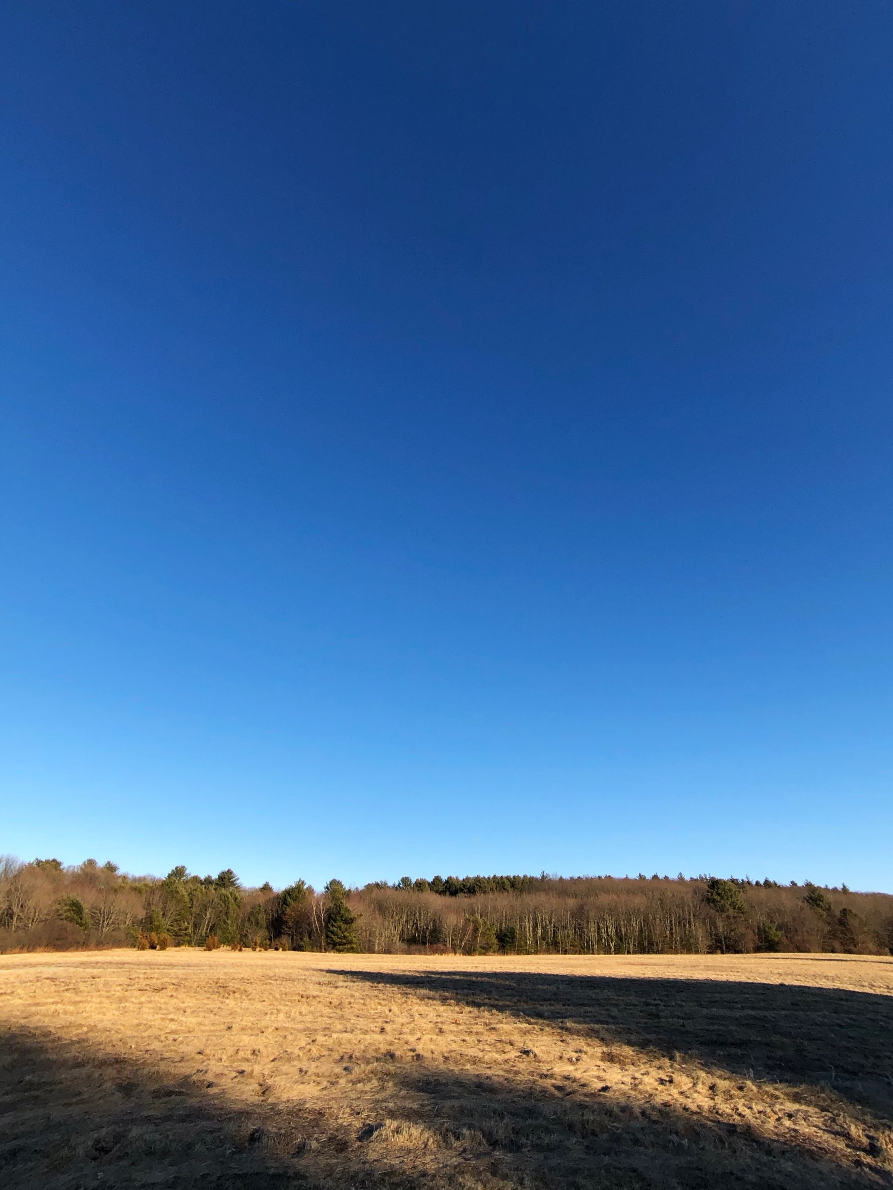 Blue skies.