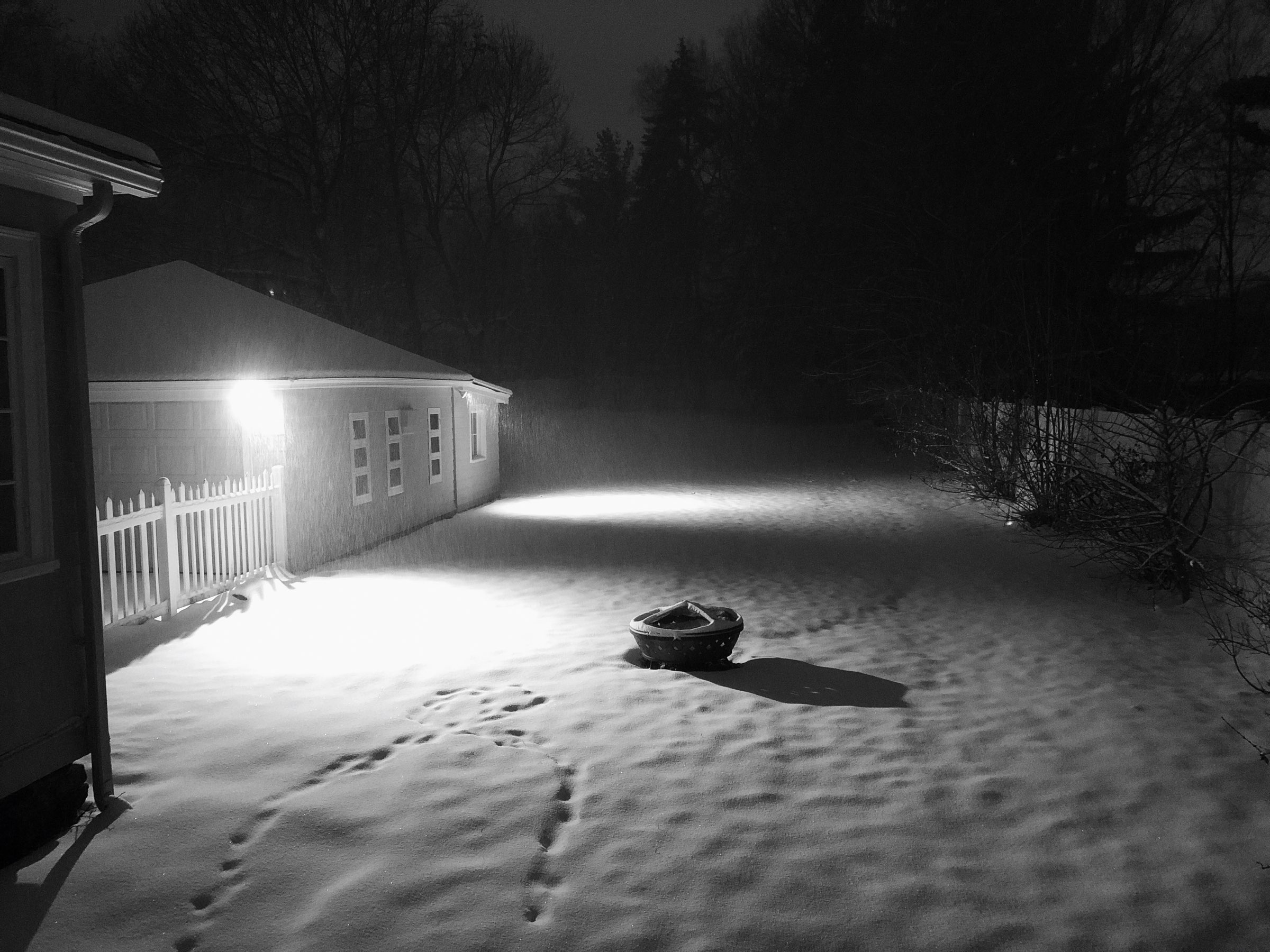 Empty scene of snow at night